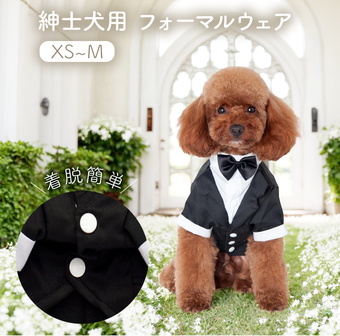 ECバナー